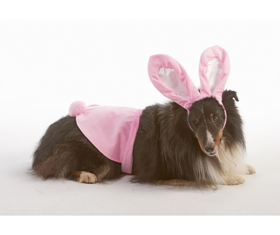 Dog sales rabbit costume