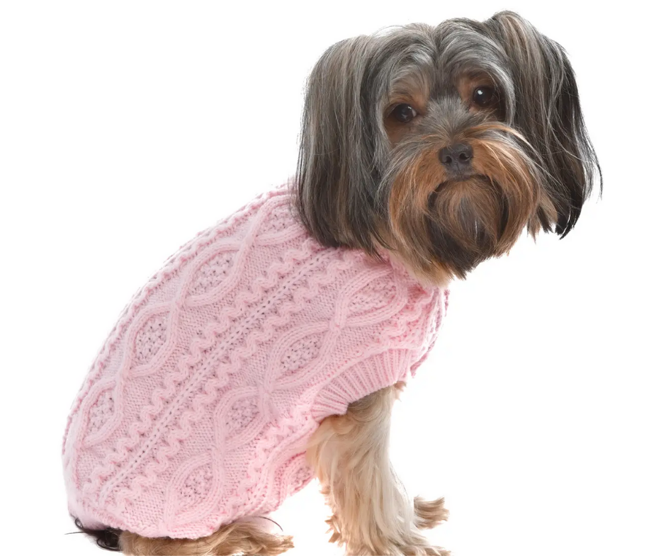 Pink Cable Knit Sweater for Dogs-Southern Agriculture