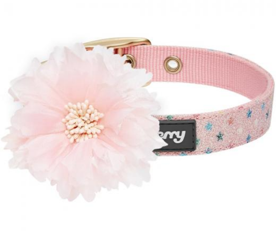 Most Coveted Holo Glitter Dog Collar with Flower Pink Multi Stars-Southern Agriculture