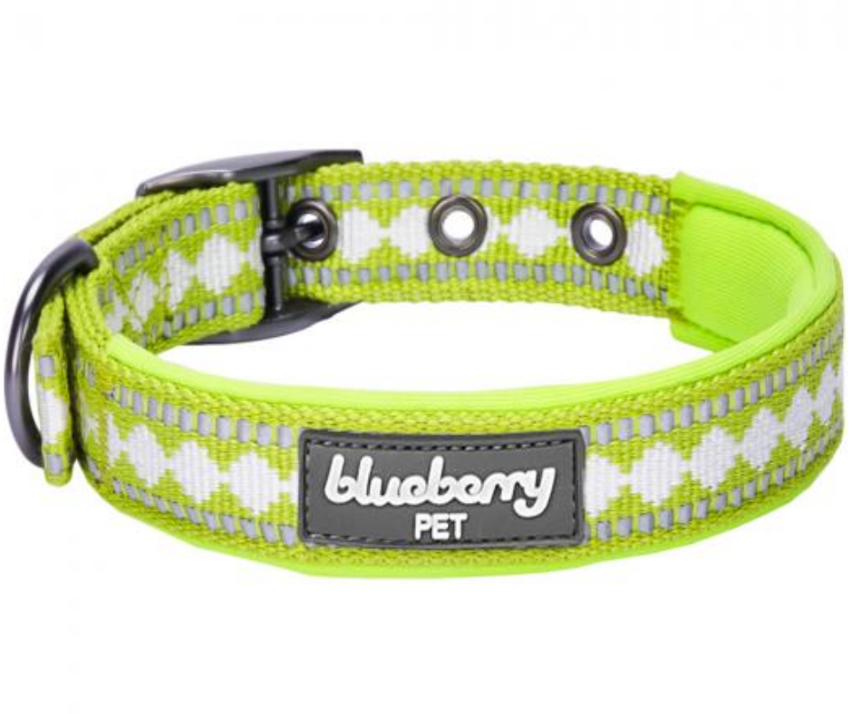 3M Reflective Padded Jacquard Dog Collar Macaw Green-Southern Agriculture