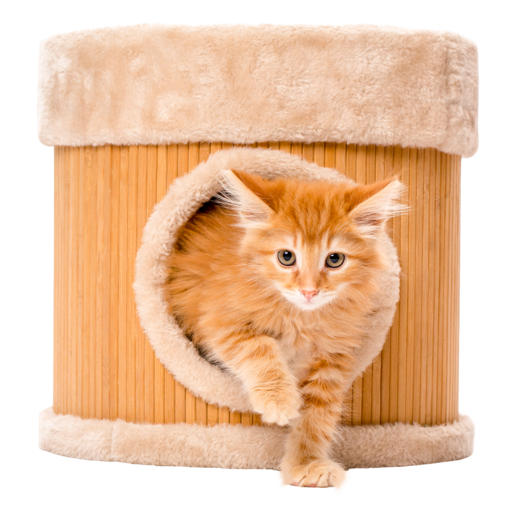 Litterbox.com - Bamboo Cat Cavern