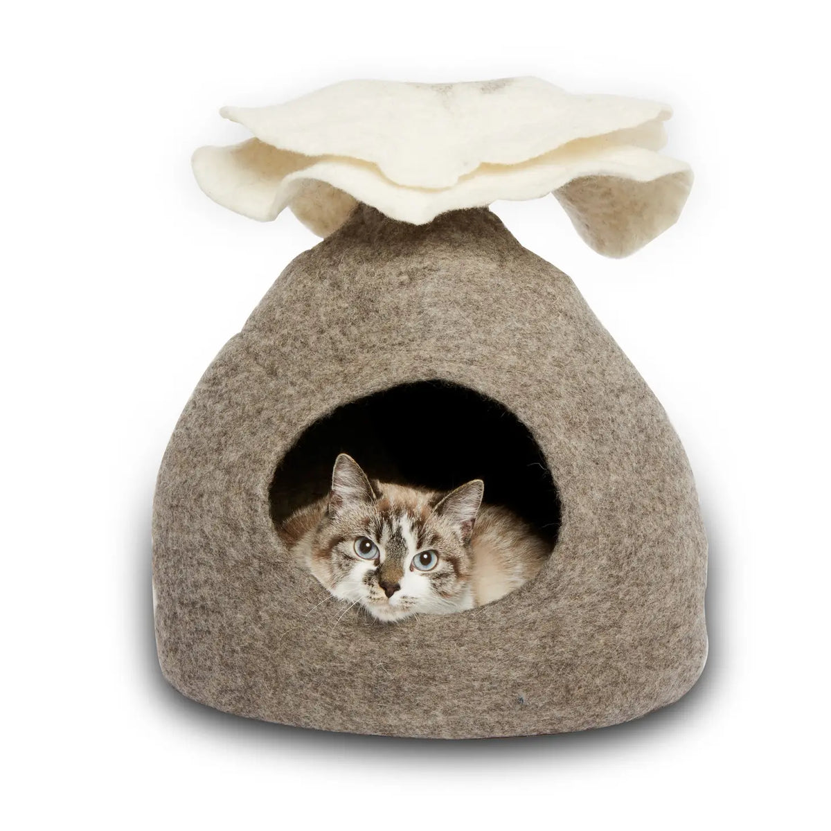Dharma Dog Karma Cat - Pet Cave Bouquet Wool