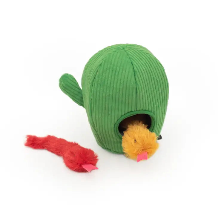 Cactus- Zippypaws main image 1