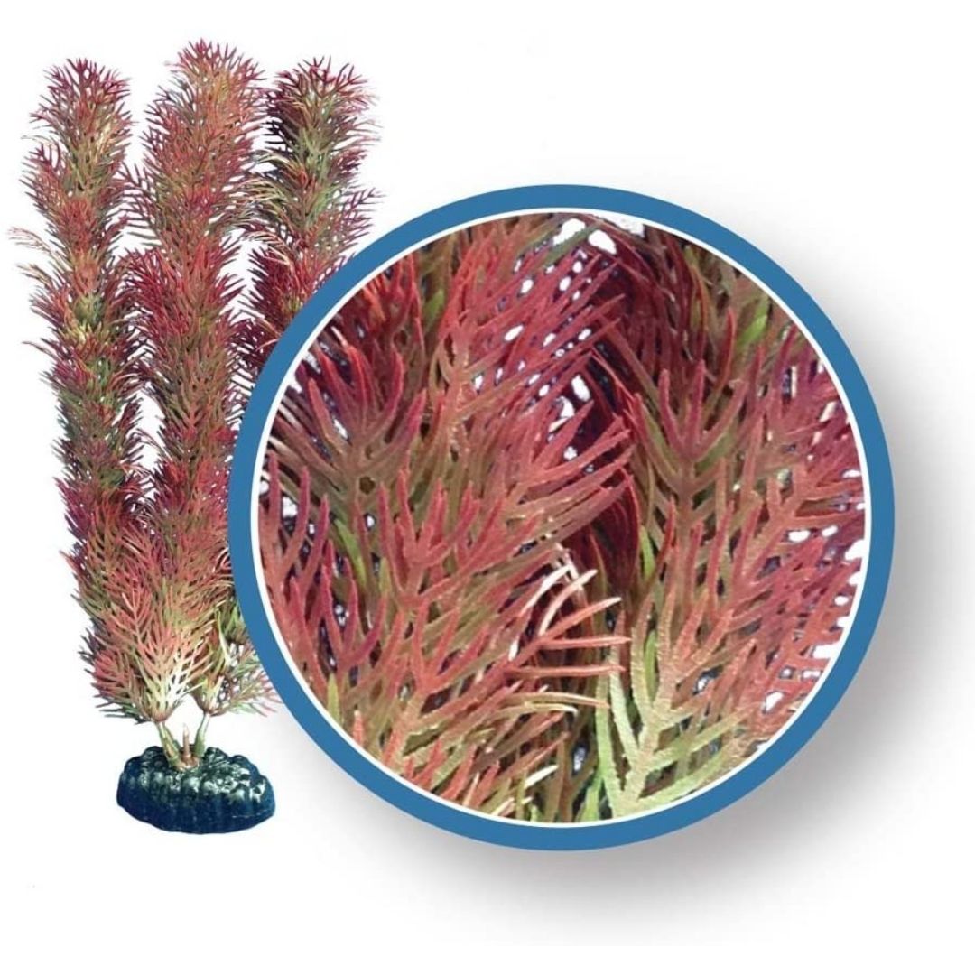 Weco Products 6 in. Freshwater Pro Series Cabomba Aquarium Plant