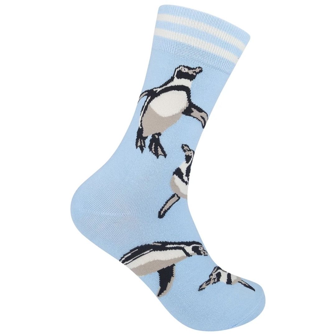 Penguins Socks-Southern Agriculture