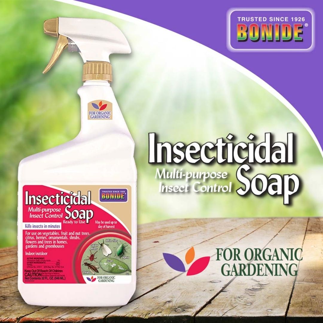 Bonide - Insecticidal Soap-Southern Agriculture