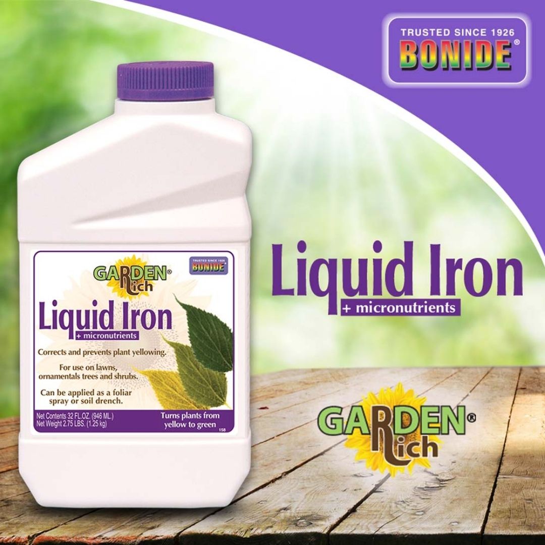 fertilizer with iron for plants Bonide Liquid Iron Concentrate