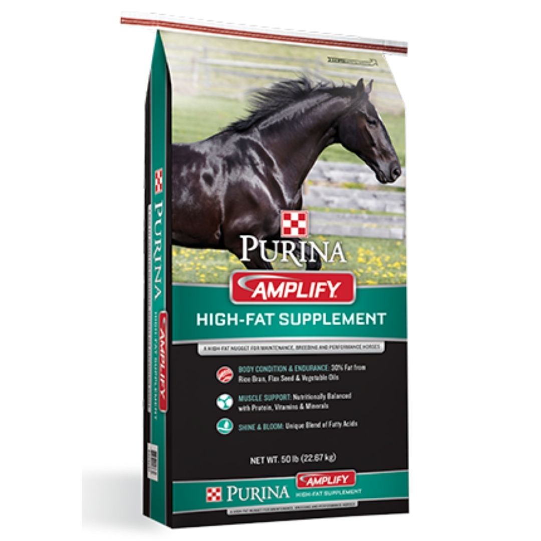 Purina - Amplify High-Fat Horse Supplement-Southern Agriculture