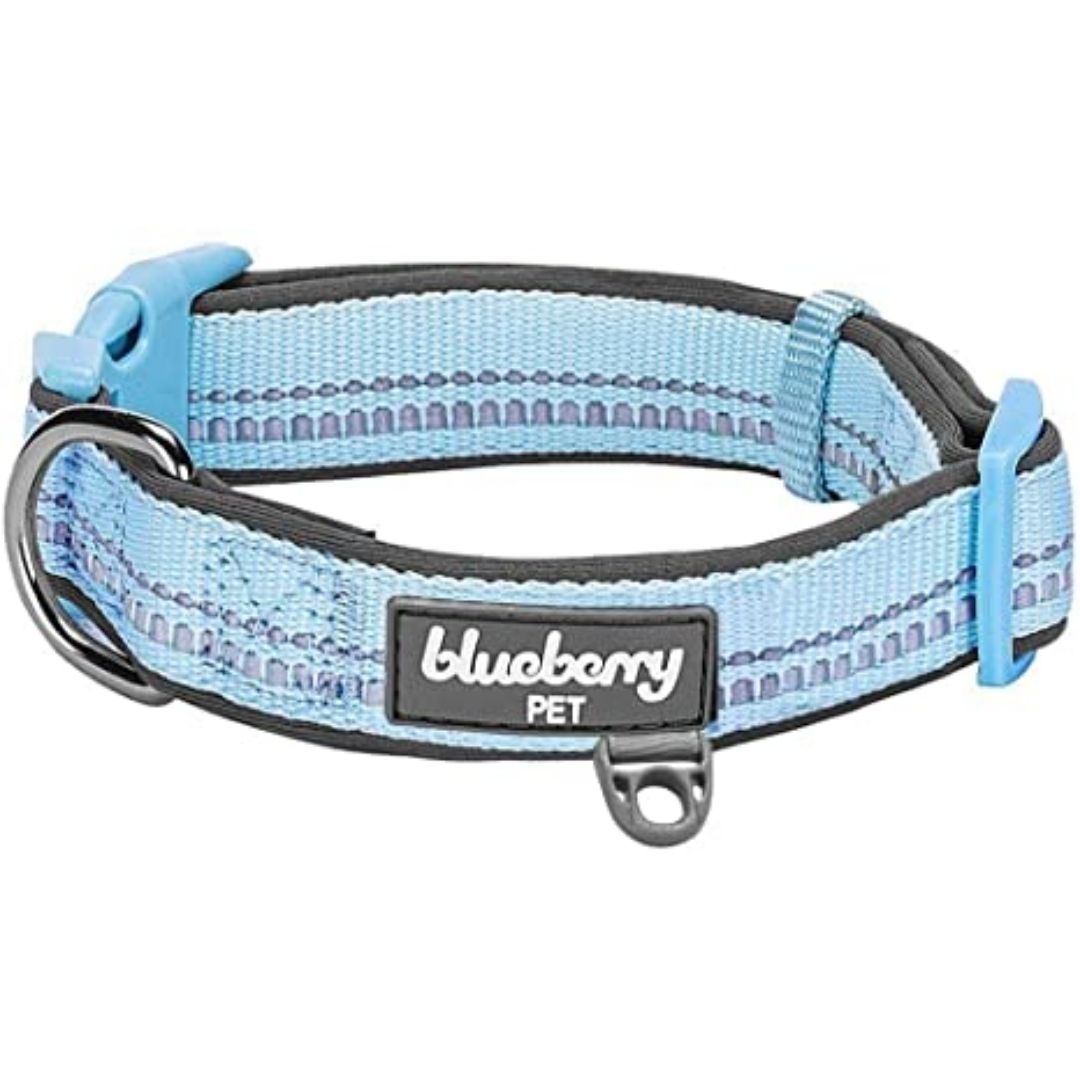Blueberry Pet - Baby Blue | 3M Reflective Padded Dog Collar