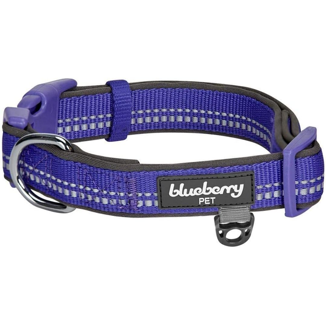 Blueberry Pet - Violet | 3M Reflective Padded Dog Collar