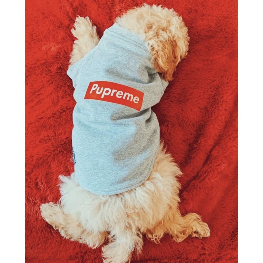 Woof Good Pupreme Dog Hoodie - Main Image