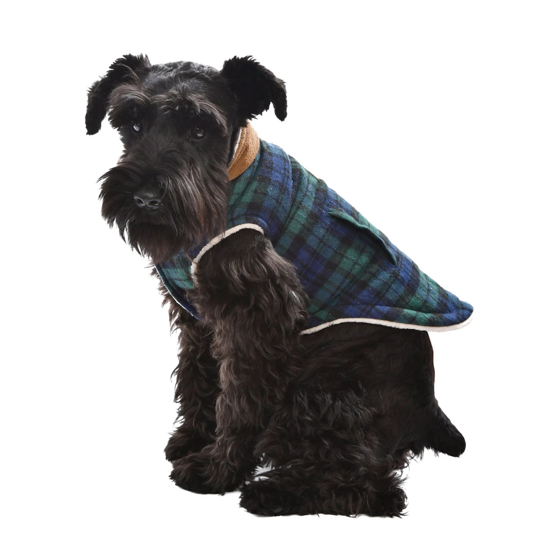 Parisian Pet - Scottish Plaid Jacket (Green and Blue) - Southern Agriculture