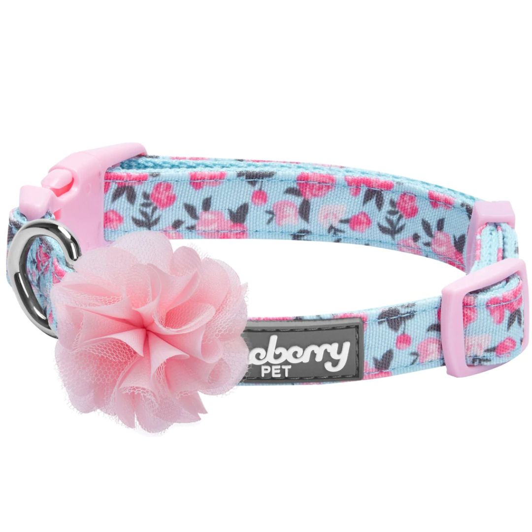 Blueberry Pet - Light Blue | Made Well Floral Dog Collar