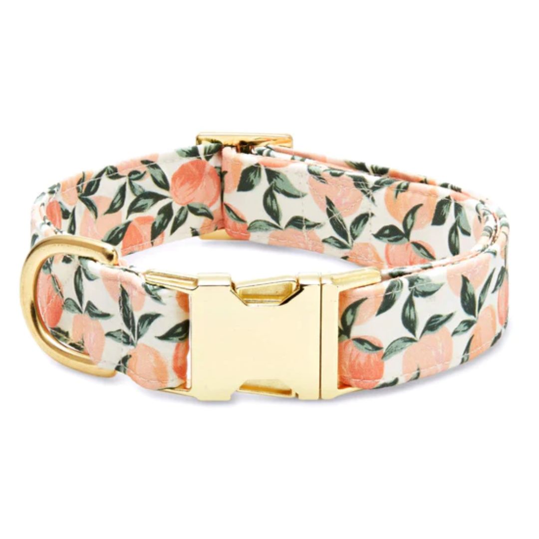 Foggy Dog - Peaches and Cream Dog Collar