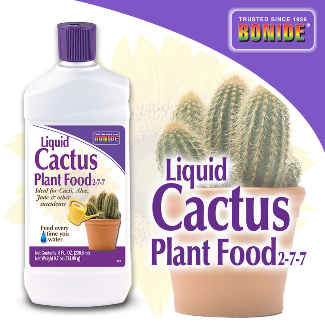 feed succulents Bonide Liquid Cactus Food (8 OZ)
