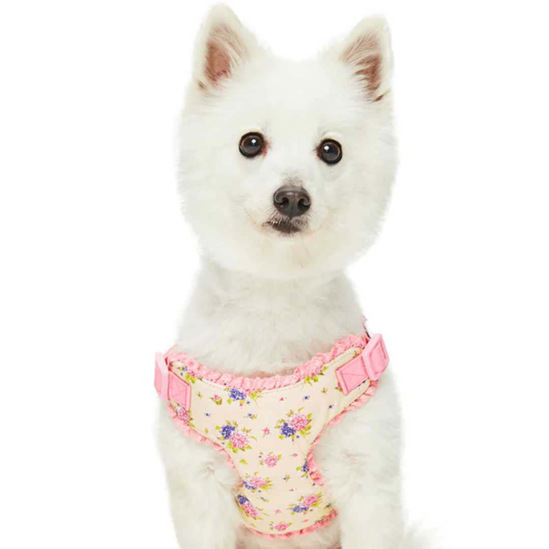 Blueberry Pet - Beige | Spring Balloon Flower Dog Harness
