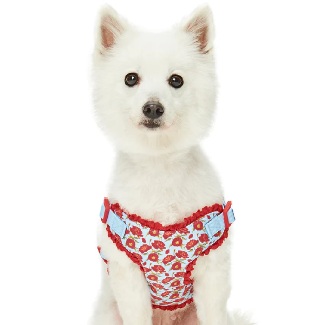 Blueberry Pet - Poppy | Floral Print Dog Harness Vest with Elegant Lace Trim