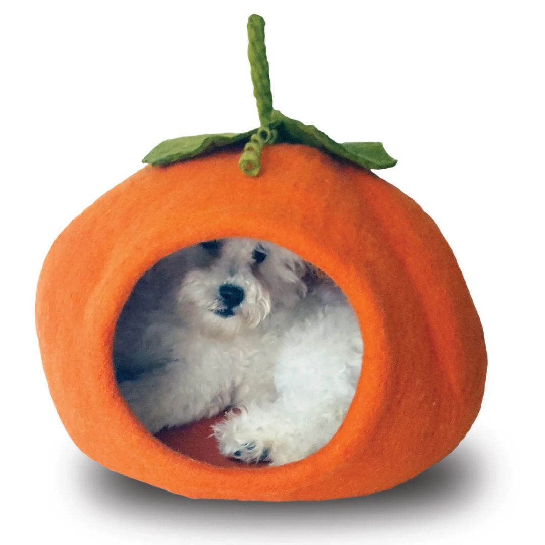 Dharma Dog Karma Cat - Pet Cave Pumpkin