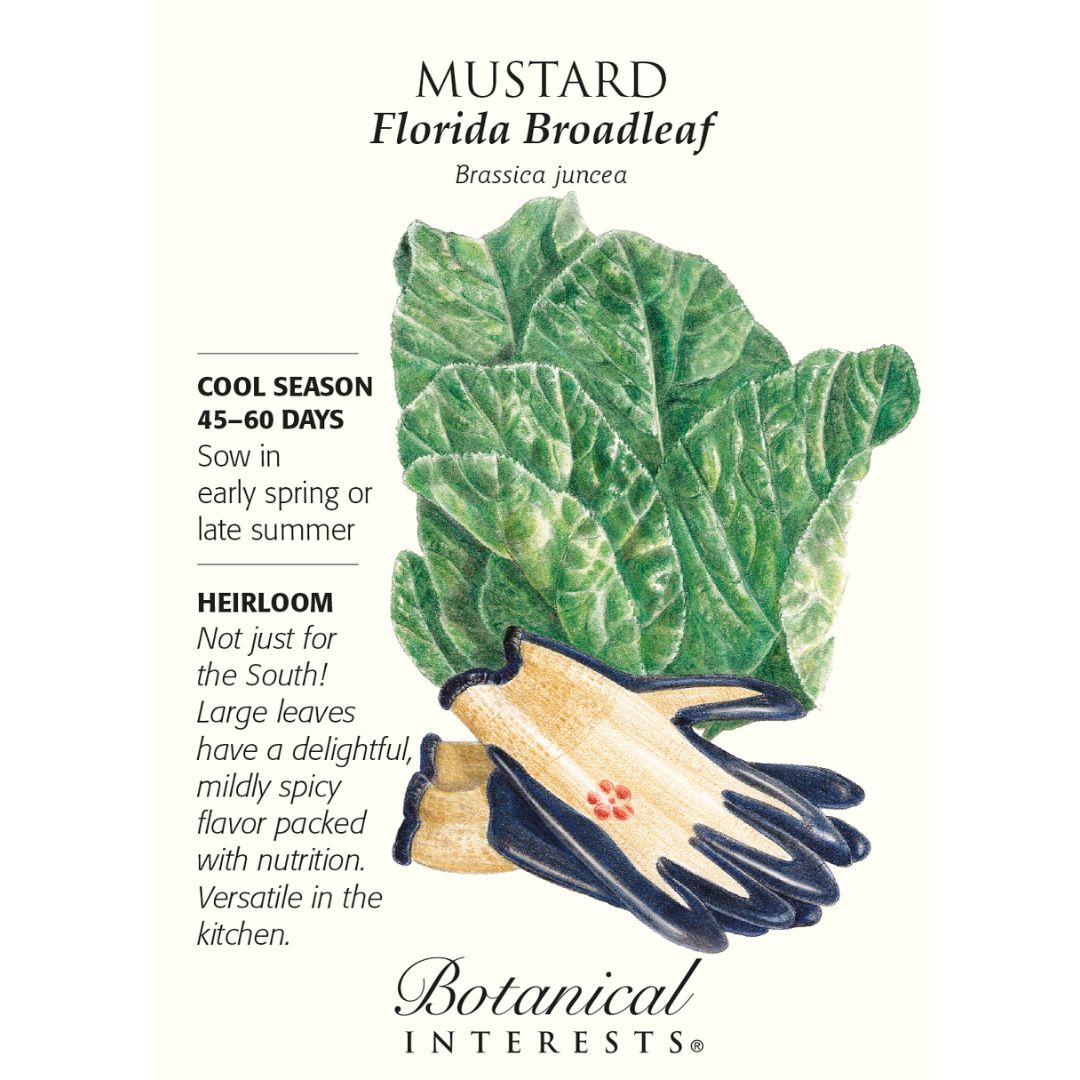 Caudill Seed | Florida Broadleaf Mustard Seed Supplier