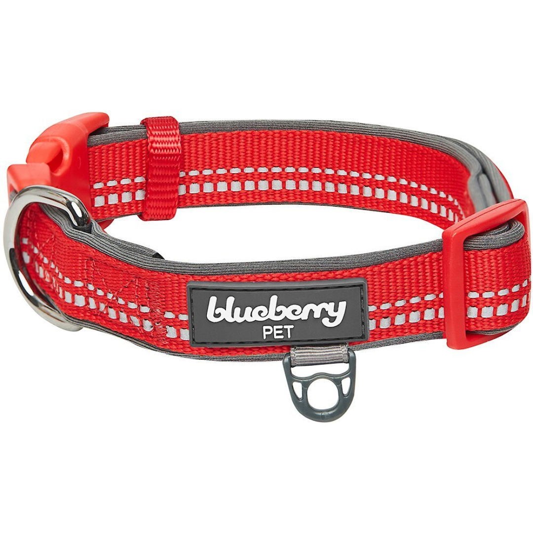 Blueberry Pet - Red | 3M Padded Adjustable Reflective Dog Collar
