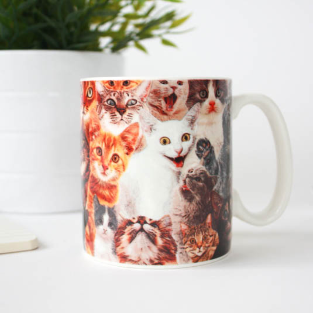 Gift Republic - Crazy Cat Lady Mug