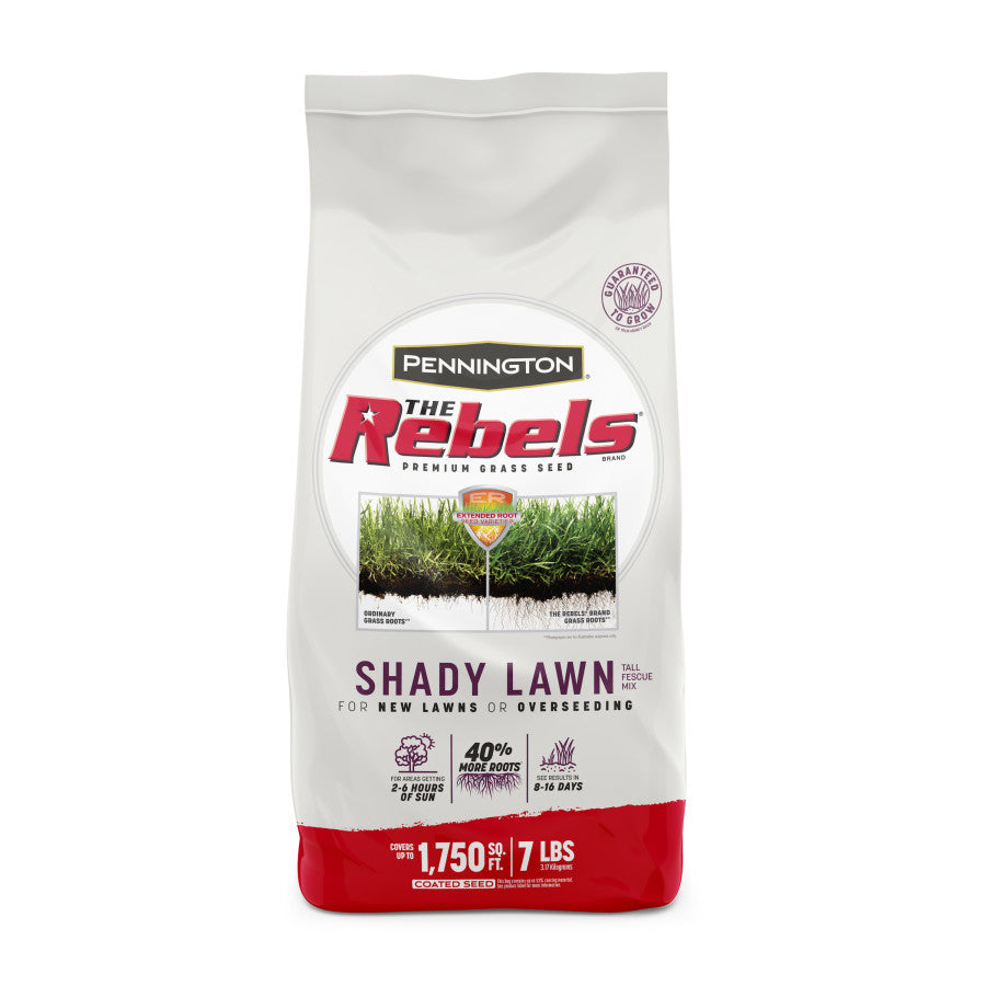 Grass Seed Rebel Fescue Shady Lawn Covers