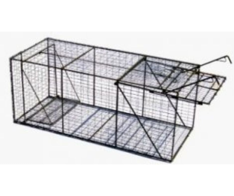 Pied Piper #401 Heavy Duty Live Animal Trap 20 x 20 x 48