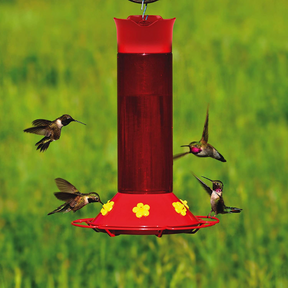 Perky Pet Our Best Humming Bird Container-Southern Agriculture