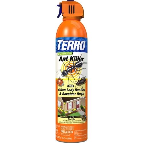 Terro Outdoor Ant Killer Aerosol Spray-Southern Agriculture