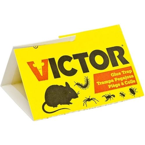 Victor Mouse Traps in the Animal & Rodent Control department at