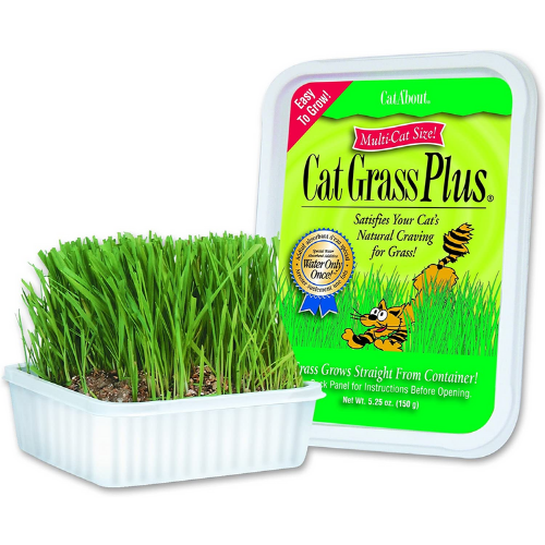 Miracle Corp - Cat Grass Plus in Tub Cat Treat-Southern Agriculture