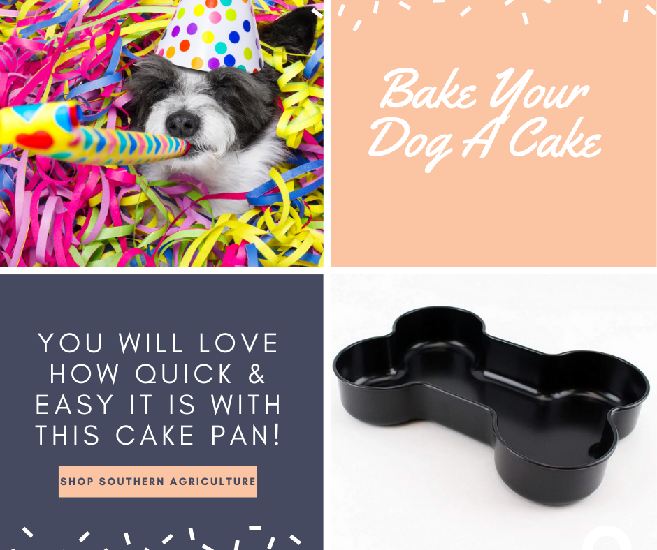 Easy Puppy Birthday Cake Recipe