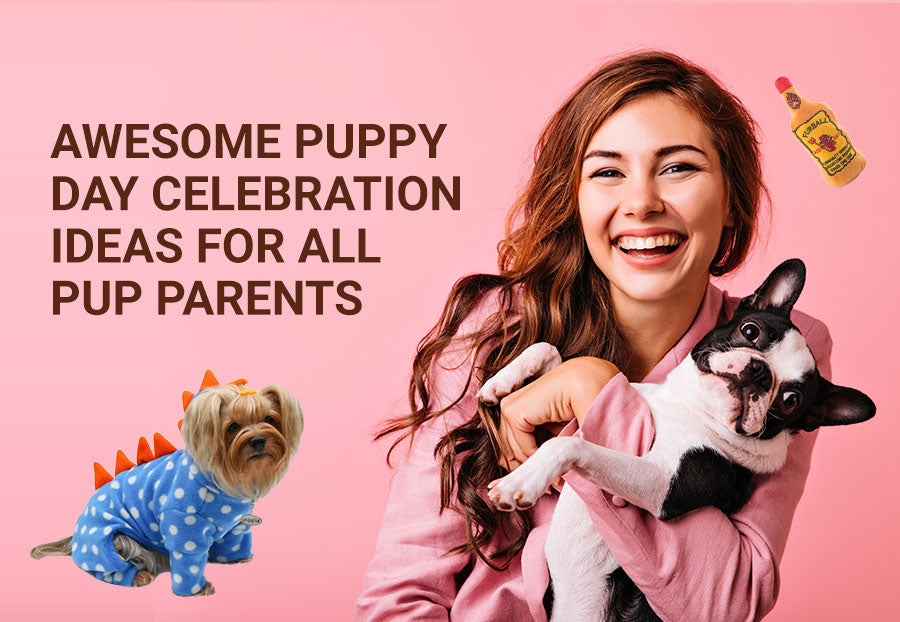 7 Ways To Celebrate National Puppy Day 2022