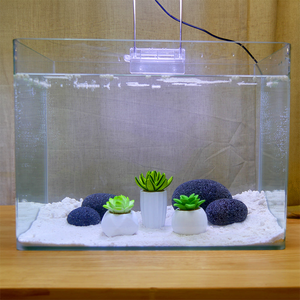 succulent plants in aquarium Penn-Plax Succulent Aquarium Kit Fish Ornament