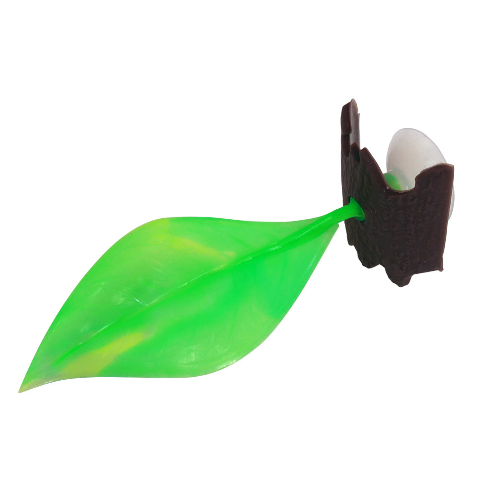 betta fish trinket box Penn-plax Soft Silicone Lounging Green Leaf - Betta Resting Aquarium Decor