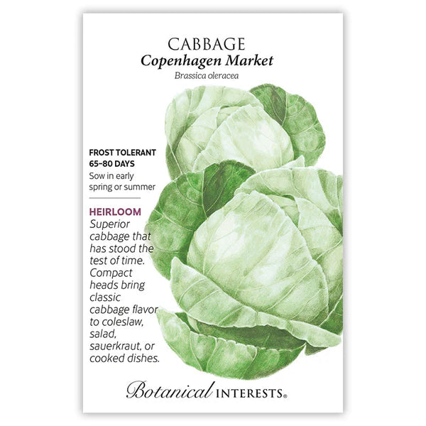 Cabbage Copenhagen Market Seeds