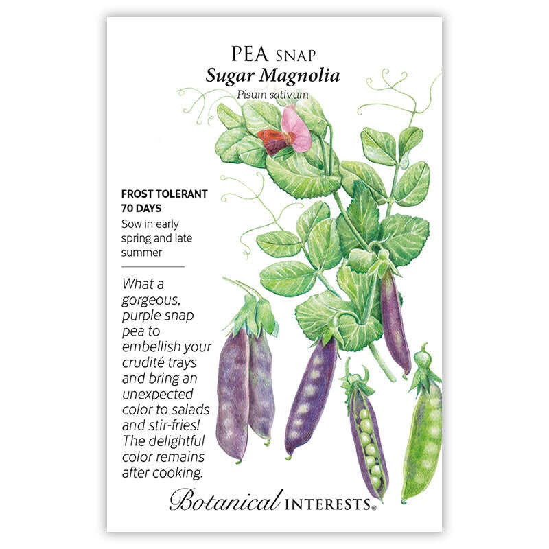 Botanical Interests, Inc. - Pea Snap (purple) Sugar Magnolia