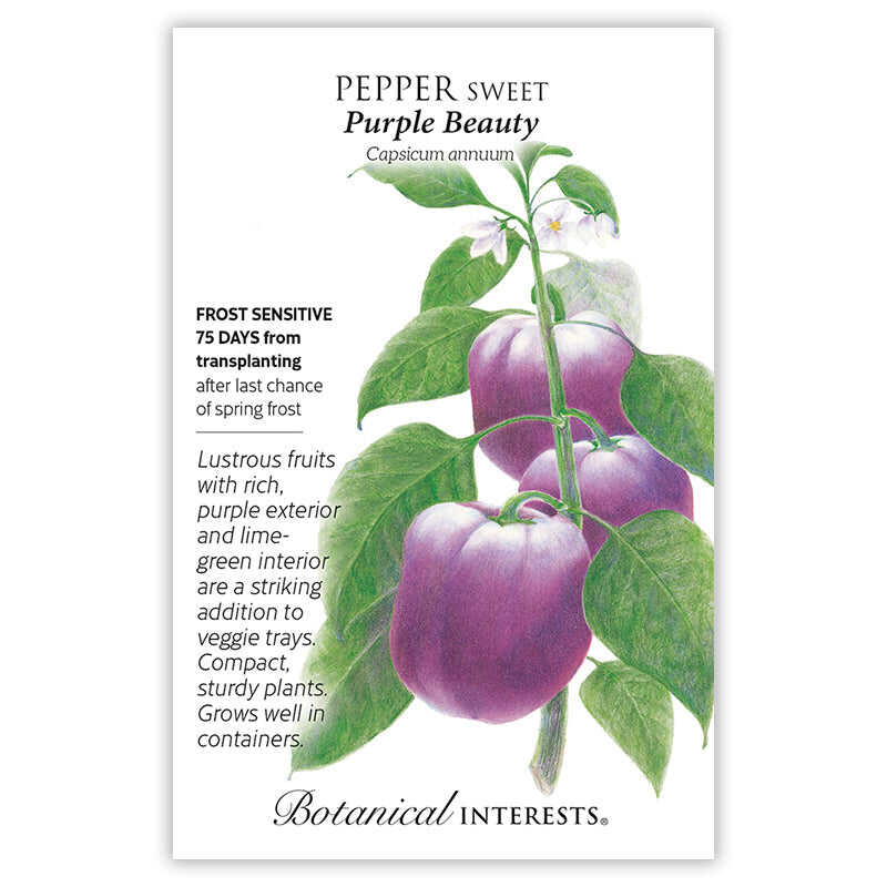 Botanical Interests, Inc. - Purple Beauty Sweet Pepper Seeds
