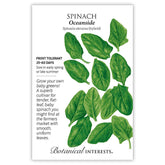 Botanical Interests, Inc. - Oceanside Spinach Seeds