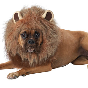 California Costumes - Halloween Costume King Of The Jungle