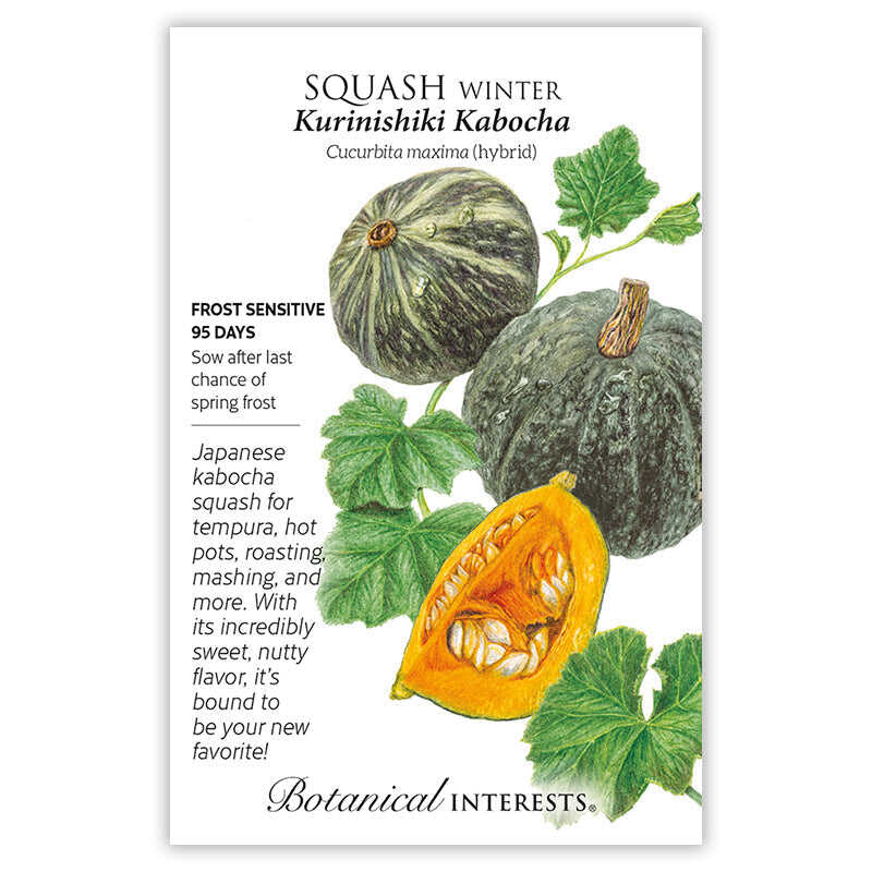Botanical Interests, Inc. - Kurinishiki Kabocha Winter Squash Seeds