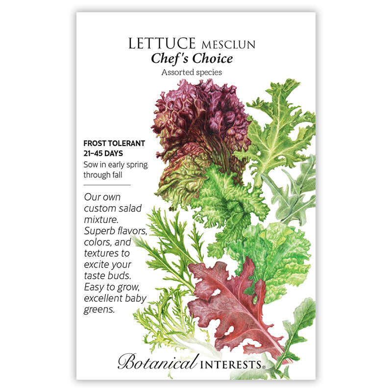 Botanical Interests, Inc. - Chef's Choice Mesclun Lettuce Seeds - Southern Agriculture 