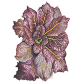 Botanical Interests, Inc. - Red Giant Mustard Seeds