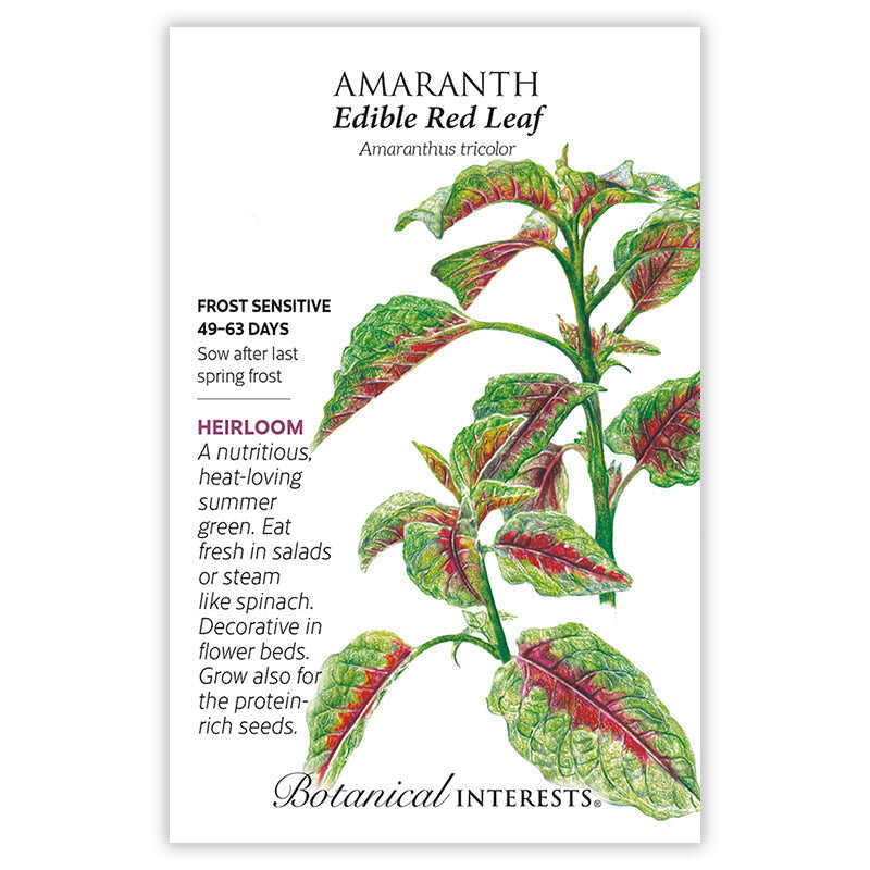 Botanical Interests, Inc. - Edible Red Leaf Amaranth Seeds