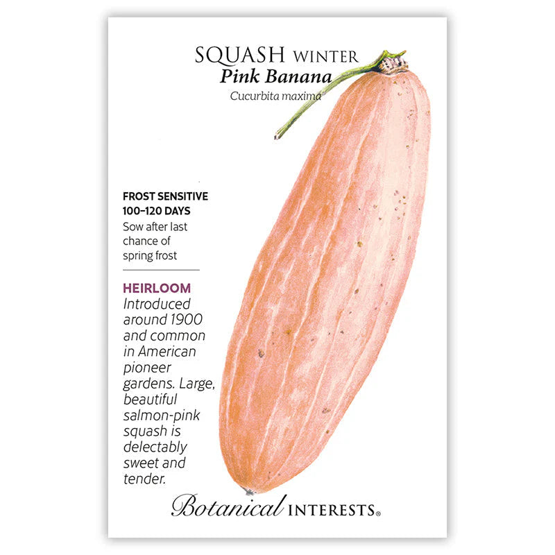 Botanical Interests, Inc. - Pink Banana Winter Squash Seeds