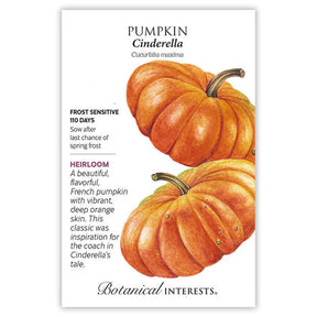 Pumpkin French Cinderella Seeds