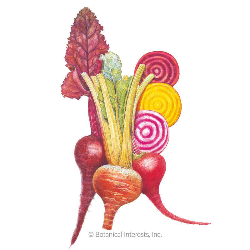 Botanical Interests, Inc. - Gourmet Blend Beet