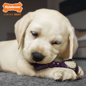 Nylabone - Puppy Chew Reg. Double Action Chew