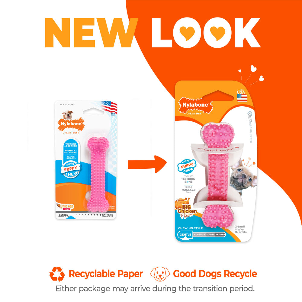 Nylabone - Puppy Chew Dental Bone