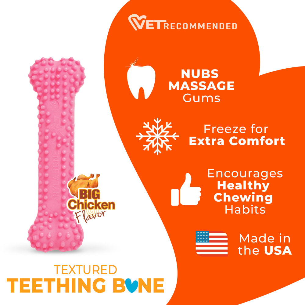 Nylabone - Puppy Chew Dental Bone